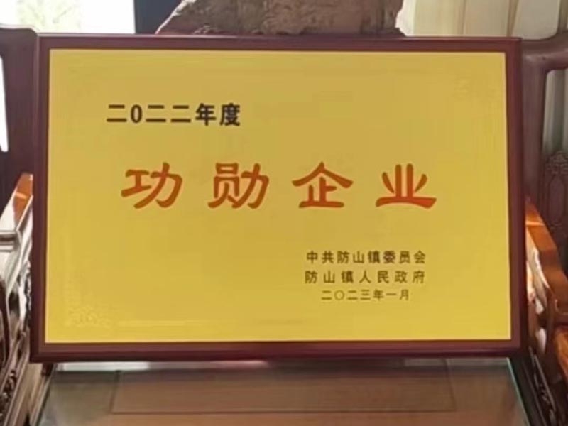 祝賀樂(lè)康醫(yī)療集團(tuán)下屬山東涵基建筑有限公司和山東裕鑫重工股份有限公司共同榮獲2022年曲阜市防山鎮(zhèn)十大功勛企業(yè) 